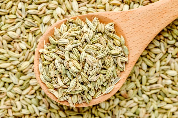 Fennel Seeds — سونف