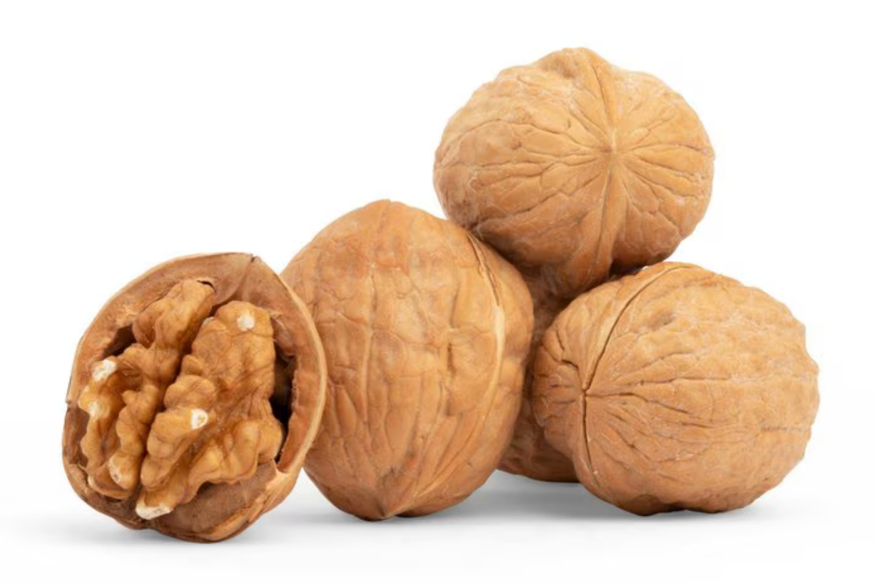 Walnuts in shell