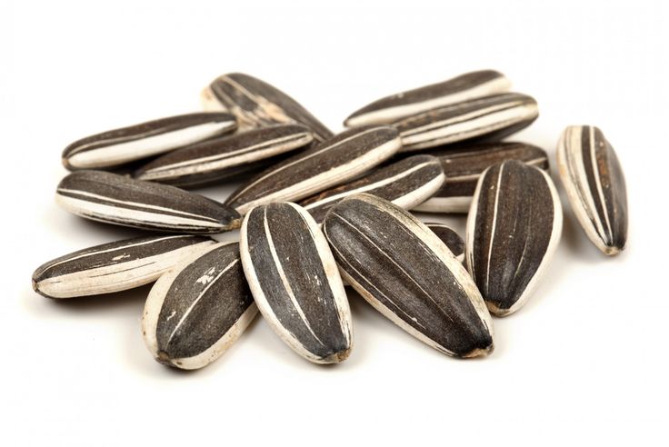 Sunflower Seeds — سورج مکھی کے بیج