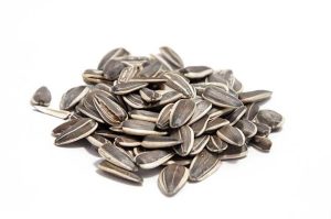 Sunflower Seeds