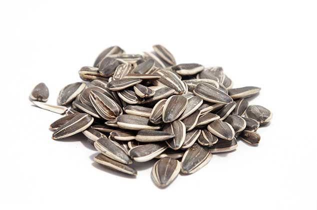 Sunflower Seeds