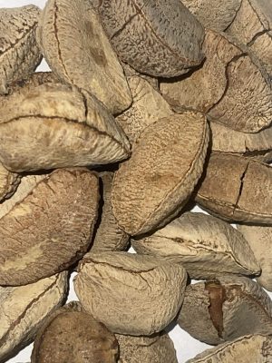 Premium Brazil Nuts (برازیل نٹس)