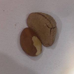 Premium Brazil Nuts (برازیل نٹس)