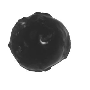 Signature Laddu (premium chocolate coated)