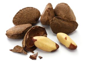 brazil nut